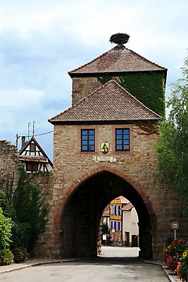 포토 JPG 해외이미지 전통 꽃 벽 여행 패턴 건축양식 지붕 휴가 산 거리 주택 항해 사람없음 건물 목재 마을 탑 프랑스 벚꽃 시골 역사 둥지 입장 시골집 아치 질감 대문 포도나무 지역 타운 프랑스어 루트 옛날 제라늄 황새 스타일 해외202004 해외포토 나무 식물 문자 건축물 건축 유럽 무늬 배_교통 재료 조류 문 도시 과일나무 파일형식 이미지허브