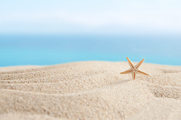 포토 JPG 해외이미지 모래 바다 섬 여행 백그라운드 하늘 휴가 사람없음 여름 파란색 우주 맑음 껍질 휴양지 수평선 카피스페이스 해외202004 해외포토 계절 컬러 날씨 공백 장소 파일형식 이미지허브