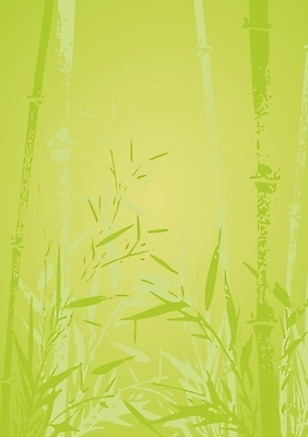 포토 JPG 해외이미지 나무 식물 실루엣 선 백그라운드 잎 꽃무늬 일러스트 자연 추상 동양인 사람없음 목재 장식 초록색 일본 중국 성장 나뭇가지 보호 숲 대나무 유기농 심플 이국적 총쏘기 해외202004 해외포토 웰빙 꽃 아시아 컬러 컨셉 무늬 재료 모션 촬영기법 인종 생태계 파일형식 이미지허브