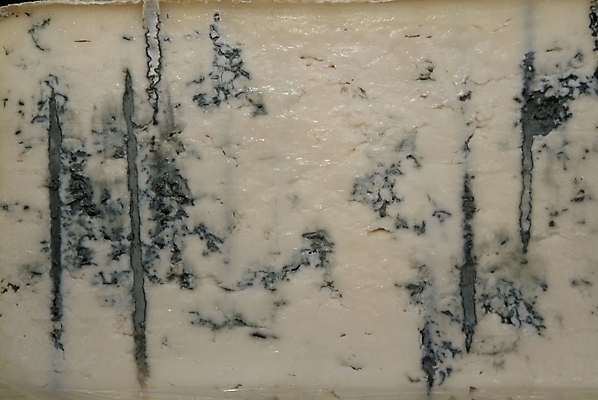 포토 JPG 해외이미지 직업 전통 산업 음식 백그라운드 농업 비즈니스 공장 탁자 치즈 선반 요리 사람없음 농장 이탈리아 우유 신선 맛 제조 상품 크림 오브젝트 준비 시골집 서식 레시피 수납 무침 바이오 핸드메이드 해외202004 해외포토 유럽 가구 컨셉 공업 유제품 주택 파일형식 이미지허브