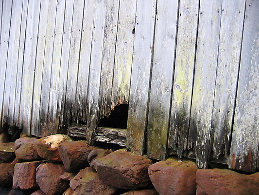 포토 JPG 해외이미지 산업 자연 하늘 사람없음 목재 여름 파란색 흰색 기중기 천국 방앗간 해외202004 해외포토 나무 계절 컬러 재료 중장비 생태계 파일형식 이미지허브