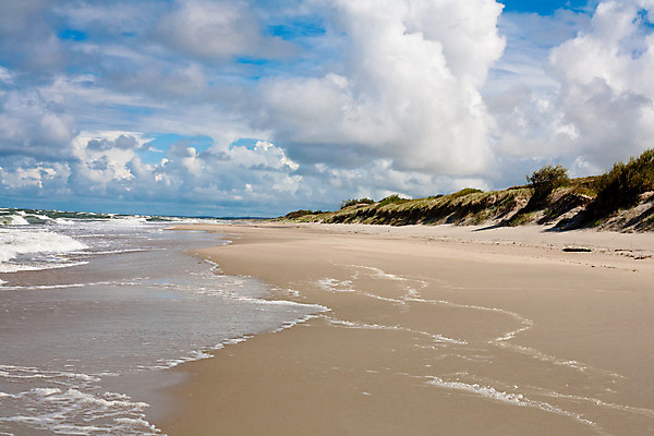 포토 JPG 해외이미지 식물 구름 모래 파도 바다 자연 바람 풍경 사람없음 야외 가로 초록색 물 파란색 거품 흰색 만 서핑 모래언덕 해외202004 해외포토 자연요소 컬러 날씨 수상스포츠 언덕 생태계 파일형식 이미지허브