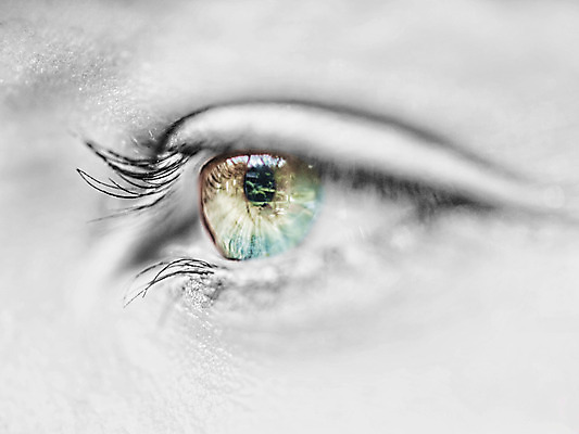 포토 JPG 해외이미지 학생 응시 여자 사람 사람없음 초록색 검은색 화장품 흰색 화려 눈동자 눈썹 속눈썹 손목시계 마스카라 시력 비전 붓꽃 해외202004 해외포토 시선 꽃 얼굴 시계 컬러 컨셉 장신구 뷰티 눈_신체부위 파일형식 이미지허브