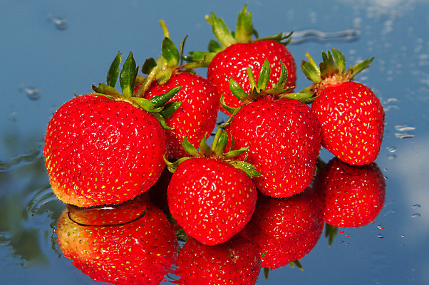 포토 JPG 해외이미지 식물 구름 열매 음식 파도 백그라운드 농업 과일 재료 자연 하늘 딸기 디저트 건강 씨앗 사람없음 야외 빨간색 초록색 물 여름 파란색 농작물 햇빛 반사 시골 달콤 맛 떨어짐 아침식사 향수 오브젝트 상쾌 숙성 채식주의자 해외202004 해외포토 자연요소 계절 감정 산업 바다 컬러 컨셉 태양 식사 화장품 생태계 채식 파일형식 이미지허브