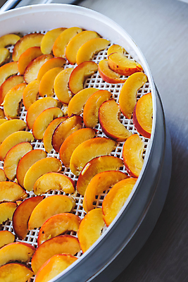 포토 JPG 해외이미지 스튜디오촬영 실내 사람없음 아웃포커스 복숭아 건과일 건조기 해외202004 해외포토 과일 건조 촬영기법 내부 기계 파일형식 이미지허브