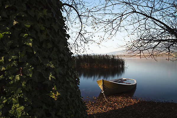 포토 JPG 해외이미지 나무 구름 계절 호수 바다 자연 아침 낚시 휴가 풍경 사람없음 야외 초록색 물 파란색 강 컬러풀 반사 평화 환경 침묵 고요 일몰 안개 가을 흰색 시골 연못 보트 가장자리 숲 카누 카약 내추럴 그런지 옛날 해외202004 해외포토 주간 자연요소 식물 컬러 컨셉 배_교통 레저 날씨 노을 소리 수상스포츠 둘레 생태계 파일형식 이미지허브