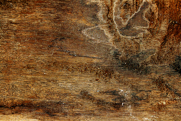 포토 JPG 해외이미지 나무 백그라운드 무늬 패턴 표면 사람없음 목재 낟알 질감 잡동사니 내추럴 수목 해외202004 해외포토 식물 재료 파일형식 이미지허브