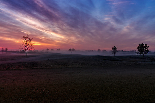 포토 JPG 해외이미지 나무 계절 겨울 오렌지 자연 아침 독일 풍경 사람없음 햇빛 태양 일출 새벽 안개 가을 상승 해외202004 해외포토 주간 자연요소 식물 유럽 컨셉 과일 날씨 노을 생태계 파일형식 이미지허브