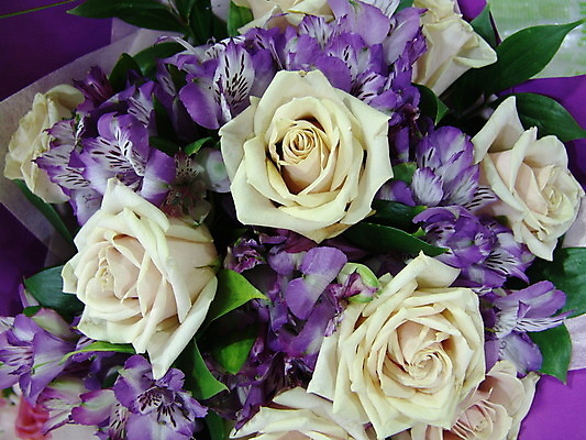 포토 JPG 해외이미지 식물 디자인 여자 꽃잎 꽃 분홍색 꽃다발 결혼 백그라운드 꽃무늬 자연 벽지 결혼식 휴가 발렌타인데이 선물 사랑 사람없음 장식 빨간색 장미 정원 벚꽃 흰색 축하 인사 신선 신용카드 개화 다발 배열 심볼 질감 해외202004 해외포토 감정 컬러 컨셉 무늬 데이이벤트 사람 이벤트 금융 예절 생태계 파일형식 이미지허브