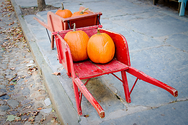 포토 JPG 해외이미지 계절 음식 오렌지 호박 거리 사람없음 야외 빨간색 농장 카트 수레 할로윈 수확 성장 가을 도시 바퀴 역사 11월 복고 추수감사절 10월 옛날 해외202004 해외포토 기독교 컬러 농업 채소 과일 날짜 파일형식 이미지허브