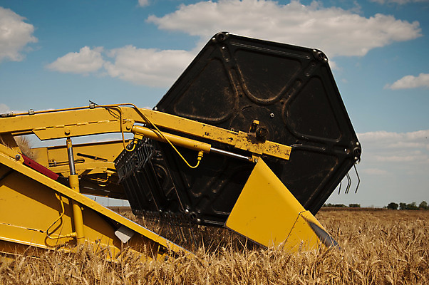 포토 JPG 해외이미지 식물 산업 빵 백그라운드 패턴 밭 농업 자연 하늘 옥수수 풍경 사람없음 여름 파란색 농작물 태양 농장 노란색 기계 침묵 장비 수확 시골 업무 황금 결합 낟알 땅 시리얼 밀 보리 트랙터 밀짚 밭일 숙성 호밀 해외202004 해외포토 자연요소 계절 음식 컬러 무늬 곡류 소리 작업 짚 농기계 생태계 특수차량 파일형식 이미지허브
