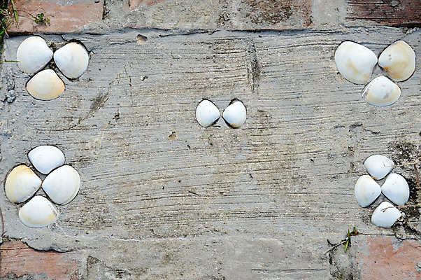 포토 JPG 해외이미지 나무 디자인 계절 공원 도로 길 백그라운드 패턴 자연 바닥 풍경 사람없음 야외 목재 초록색 여름 환경 정원 침묵 봄 산책 하이킹 수확 가을 바위 시골 오솔길 타일 원예 시멘트 내추럴 방법 해외202004 해외포토 식물 공공시설 컬러 무늬 농업 재료 교통시설 레저 휴식 취미 소리 돌_바위 생태계 파일형식 이미지허브