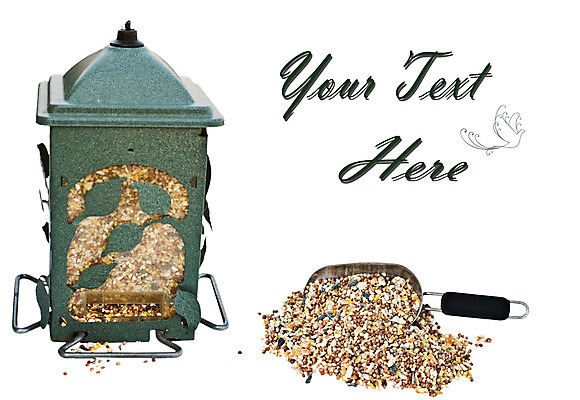 포토 JPG 해외이미지 음식 백그라운드 텍스트 자연 조류 해바라기 매달리기 옥수수 씨앗 사람없음 야외 초록색 우주 금속 정원 흰색 낟알 철 흰배경 고립 섞기 수수 철강 카피스페이스 해외202004 해외포토 식물 동물 꽃 컬러 모션 재질 곡류 공백 생태계 파일형식 이미지허브