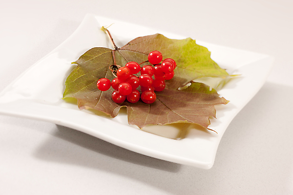 포토 JPG 해외이미지 접시 열매 잎 건강 사람없음 빨간색 가을 흰색 숙성 해외202004 해외포토 식물 식기 계절 컬러 파일형식 이미지허브