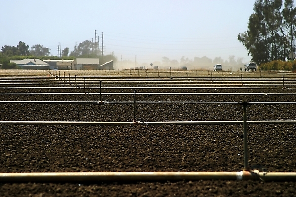 포토 JPG 해외이미지 산업 음식 밭 농업 자연 풍경 사람없음 야외 물 농장 갈색 기계 흙 장비 흐름 수확 시골 신선 시장 재산 떨어짐 농부 땅 유기농 날것 시스템 호스 땅바닥 밭일 스프링쿨러 줄서기 해외202004 해외포토 자연요소 직업 웰빙 컬러 컨셉 모션 바닥 금융 생태계 파일형식 이미지허브