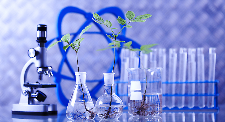 포토 JPG 해외이미지 식물 실내 현미경 실험 사람없음 액체 화학 실험실 플라스크 시험관 파란배경 비커 화학실험 시험관대 해외202004 해외포토 과학 백그라운드 실험기구 내부 파란색 파일형식 이미지허브