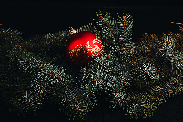 포토 JPG 해외이미지 나무 전통 디자인 백그라운드 크리스마스 겨울 공 추상 휴가 조명 새로움 선물 사람없음 목재 장식 빨간색 빛 장난감 파티 우주 어둠 기쁨 흰색 나뭇가지 시골 축하 인사 신용카드 눈송이 황금 우아함 12월 연도 책상 오브젝트 초대 고립 블러 카피스페이스 해외202004 해외포토 식물 계절 기념일 감정 컬러 가구 컨셉 무늬 재료 눈_날씨 이벤트 금융 공백 예절 날짜 파일형식 이미지허브