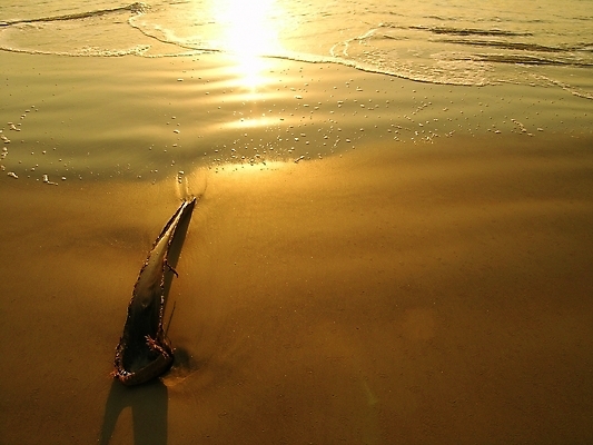 포토 JPG 해외이미지 모래 바다 백그라운드 휴가 해변 사람없음 물 태양 황금 해외202004 해외포토 자연요소 파일형식 이미지허브