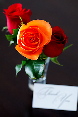 포토 JPG 해외이미지 접시 열매 꽃 음식 백그라운드 잎 농업 과일 자연 탁자 딸기 디저트 건강 사람없음 목재 컵 빨간색 초록색 빛 컬러풀 장미 봄 신선 신용카드 달콤 작음 먹기 컵받침 유기농 감사 흙더미 숙성 채식주의자 해외202004 해외포토 나무 식물 식기 웰빙 계절 감정 산업 컬러 가구 재료 모션 금융 흙 맛 크기 받침대 생태계 채식 파일형식 더미 이미지허브