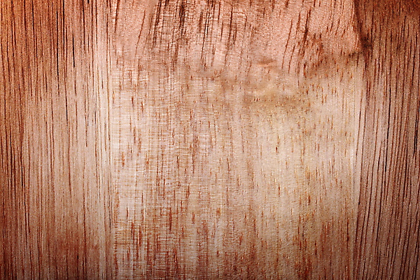 포토 JPG 해외이미지 디자인 선 백그라운드 단풍 패턴 자연 벽지 표면 추상 바닥 사람없음 목재 장식 갈색 어둠 판넬 거친 널 낟알 책상 묘사 질감 잡동사니 내추럴 수목 옛날 파케트 해외202004 해외포토 나무 컬러 가구 잎 무늬 재료 생태계 파일형식 이미지허브