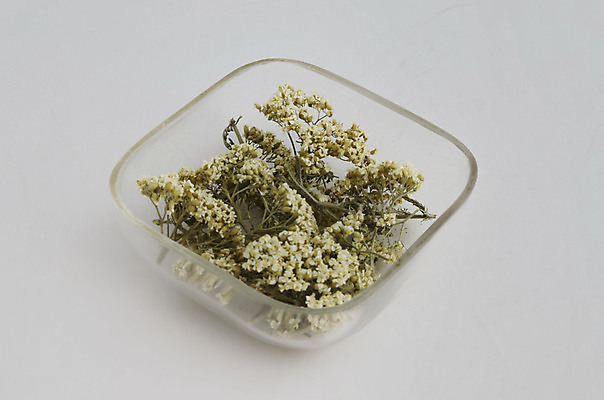 포토 JPG 해외이미지 식물 접시 꽃 잎 재료 자연 유리 건조 건강 사람없음 칼날 차 허브 향기 분무기 향 해외202004 해외포토 식기 음료 재질 생태계 냄새 파일형식 이미지허브