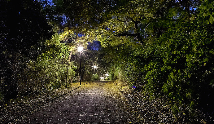 포토 JPG 해외이미지 나무 계절 공원 도로 길 여행 잎 겨울 자연 아침 날씨 풍경 사람없음 야외 목재 장식 초록색 파란색 빛 컬러풀 노란색 평화 환경 정원 냉동 검은색 어둠 황혼 추위 가을 나뭇가지 램프 야간 저녁 숲 오솔길 장면 내추럴 해외202004 해외포토 주간 자연요소 식물 공공시설 컬러 컨셉 재료 교통시설 조명 일몰 생태계 파일형식 이미지허브