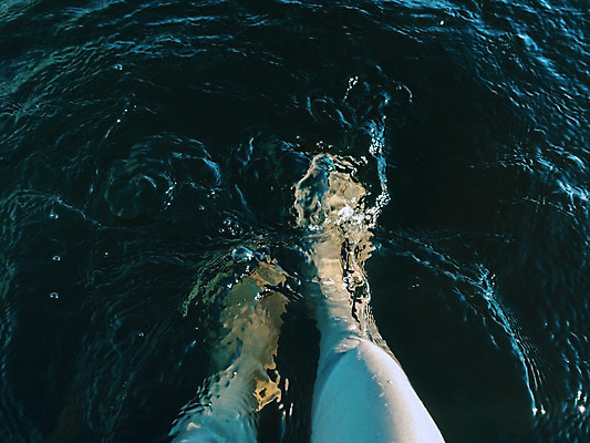 포토 JPG 해외이미지 라이프스타일 여자 행복 호수 바다 여행 맨발 발 자연 휴가 휴식 수영장 건강 사람 사람없음 야외 물 햇빛 수영 기쁨 젖음 신선 행운 떨어짐 방파제 테라피 벌거벗은 양발 스플래쉬 해외202004 해외포토 자연요소 공공시설 감정 컨셉 생활 신체부위 태양 뷰티 수상스포츠 생태계 파일형식 이미지허브