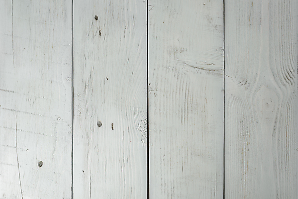 포토 JPG 해외이미지 나무 백그라운드 근접촬영 사람없음 목재 흰색 질감 카피스페이스 해외202004 해외포토 식물 뷰포인트 컬러 재료 공백 파일형식 이미지허브