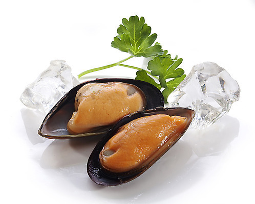 포토 JPG 해외이미지 음식 조각 조개 연체동물 파슬리 사람없음 초록색 노란색 얼음 식사 껍질 신선 해산물 홍합 고립 해외202004 해외포토 자연요소 컬러 채소 어패류 무척추동물 파일형식 이미지허브