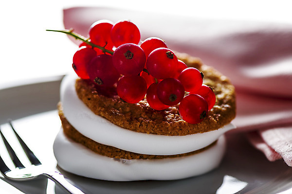 포토 JPG 해외이미지 접시 열매 음식 분홍색 백그라운드 포크 과일 탁자 디저트 사람없음 빨간색 갈색 케이크 빵집 흰색 신선 원형 달콤 정상 설탕 굽기 크림 냅킨 건포도 바닐라 타르트 페스츄리 핸드메이드 해외202004 해외포토 도형 식물 식기 빵 컬러 가구 포도 상점 맛 구이 파이_빵 건과일 파일형식 이미지허브