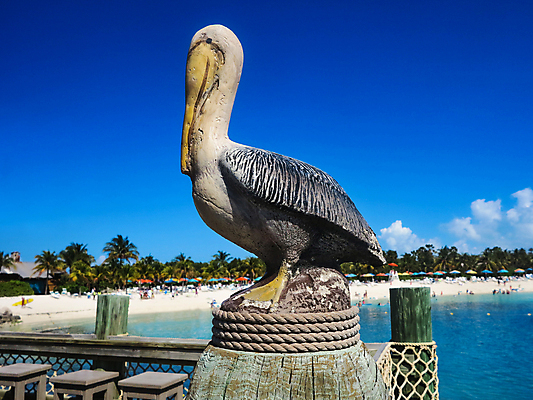포토 JPG 해외이미지 동물 야생동물 밧줄 모래 바다 조각 여행 백그라운드 날개 우산 자연 갈매기 조류 하늘 미술 사람없음 야외 물 여름 파란색 울타리 야자수 조각상 흰색 갑판 펠리컨 부리 내추럴 해외202004 해외포토 자연요소 나무 계절 줄 컬러 배_교통 문화예술 담장 조형물 생태계 파일형식 이미지허브