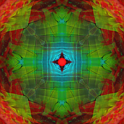 포토 JPG 해외이미지 동물 야생동물 패턴 날개 자연 조류 추상 사람없음 빨간색 초록색 파란색 반려동물 컬러풀 노란색 활발 황금 깃털 묘사 질감 앵무새 내추럴 이국적 해외202004 해외포토 컬러 컨셉 무늬 생태계 파일형식 이미지허브