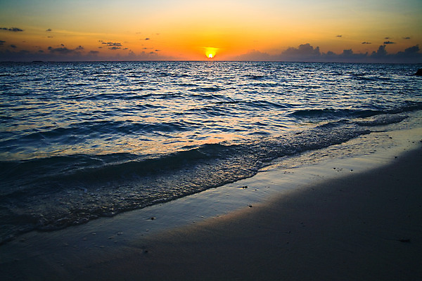 포토 JPG 해외이미지 나무 구름 실루엣 모래 파도 바다 섬 여행 잎 오렌지 자연 하늘 휴가 열대 따뜻함 손바닥 그림자 사람없음 빨간색 초록색 물 여름 파란색 태양 일출 맑음 일몰 꿈 야간 암초 코코넛 몰디브 아열대 해외202004 해외포토 자연요소 식물 손 계절 아시아 컬러 과일 날씨 촬영기법 노을 생태계 파일형식 이미지허브