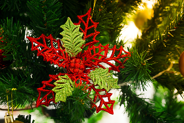 포토 JPG 해외이미지 나무 전통 디자인 계절 행복 백그라운드 크리스마스 겨울 패턴 공 유리 휴가 불꽃 새로움 주택 기념 따뜻함 선물 사람없음 내부 장식 빨간색 초록색 빛 노란색 축제 화환 방 흰색 축하 소나무 황금 야간 12월 연도 벽난로 블러 해외202004 해외포토 자연요소 식물 기념일 꽃 감정 컬러 컨셉 무늬 재질 불 건물 날짜 파일형식 이미지허브