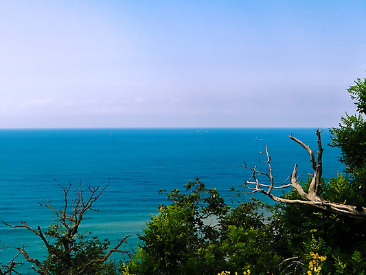포토 JPG 해외이미지 나무 식물 구름 바다 섬 여행 백그라운드 잎 자연 하늘 휴가 휴식 손바닥 풍경 사람없음 야외 초록색 여름 파란색 컬러풀 햇빛 태양 우주 침묵 꿈 추위 가을 바위 나뭇가지 상록수 크로아티아 석호 이국적 터키석 파라다이스 해외202004 해외포토 자연요소 손 계절 유럽 컬러 컨셉 소리 돌_바위 보석 생태계 파일형식 이미지허브