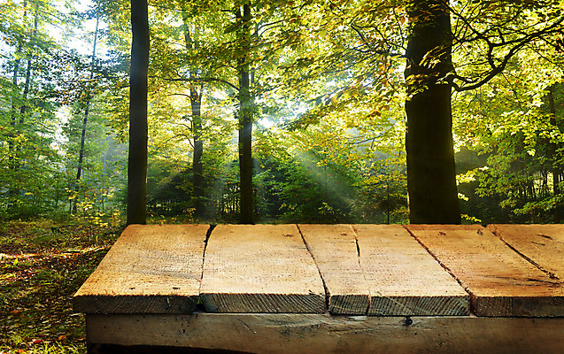 포토 JPG 해외이미지 나무 공원 백그라운드 자연 아침 사람없음 야외 초록색 여름 빛 태양 소풍 노란색 우주 정원 일몰 봄 이탈리아 전시 수확 광선 가을 시골 신선 숲 왼쪽 내추럴 프랑스어 평행 무료 무한 프로방스 세련 해외202004 해외포토 주간 자연요소 식물 문자 계절 공공시설 유럽 컬러 농업 야외활동 노을 방향 생태계 파일형식 이미지허브