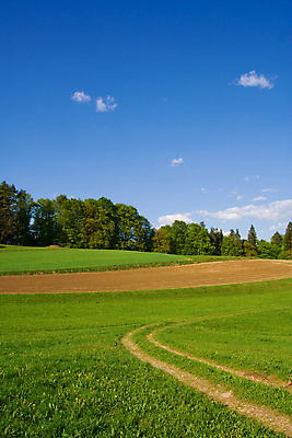 포토 JPG 해외이미지 나무 길 빵 백그라운드 밭 농업 자연 하늘 추상 풍경 사람없음 야외 가로 초록색 여름 파란색 농장 농경지 우주 수확 가을 흰색 시골 고독 밀 수평선 해외202004 해외포토 식물 계절 감정 산업 음식 컬러 무늬 곡류 생태계 파일형식 이미지허브