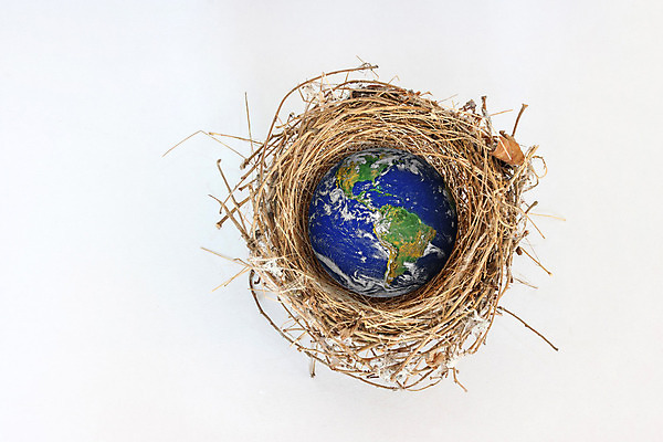 포토 JPG 해외이미지 동물 지구 조류 창조 3 사람없음 세계 지구본 미국 무대 흰색 둥지 큼 오브젝트 시작 슛 북쪽 남쪽 내추럴 고립 진짜 처음 해외202004 해외포토 컬러 북아메리카 크기 방향 파일형식 이미지허브