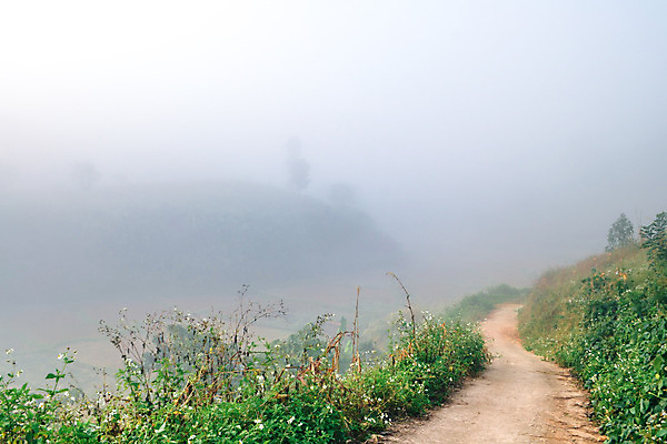 포토 JPG 해외이미지 나무 구름 공원 여행 백그라운드 잎 자연 하늘 아침 산 풍경 사람없음 야외 초록색 일출 환경 일몰 새벽 안개 숲 공상 내추럴 뿌연 전국 절정 해외202004 해외포토 주간 자연요소 식물 공공시설 컬러 날씨 노을 생태계 파일형식 이미지허브