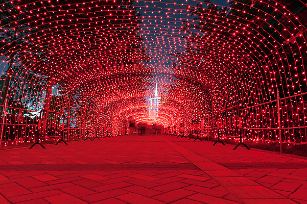 포토 JPG 해외이미지 외관 도로 패턴 벽돌 조명 거리 바닥 사람없음 야외 장식 빛 유행 램프 축하 도시 복도 도심 야간 장면 철사 빛망울 광 땅바닥 해외202004 해외포토 자연요소 길 컨셉 무늬 교통시설 파일형식 이미지허브