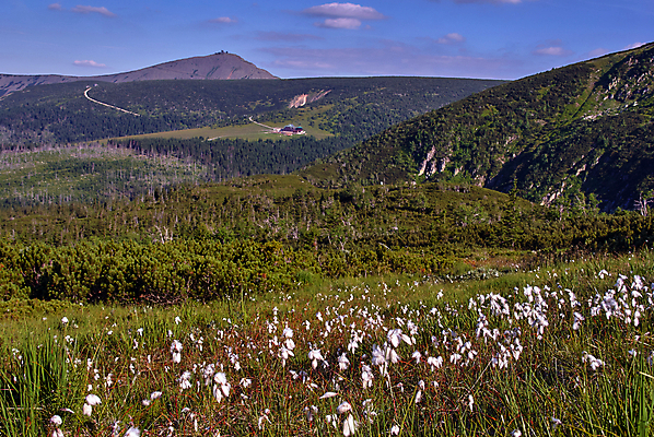 포토 JPG 해외이미지 나무 식물 구름 꽃 유럽 도로 길 하늘 산 풍경 경사 사람없음 여름 숲 시골집 폴란드 절정 해외202004 해외포토 자연요소 계절 나라 교통시설 주택 파일형식 이미지허브
