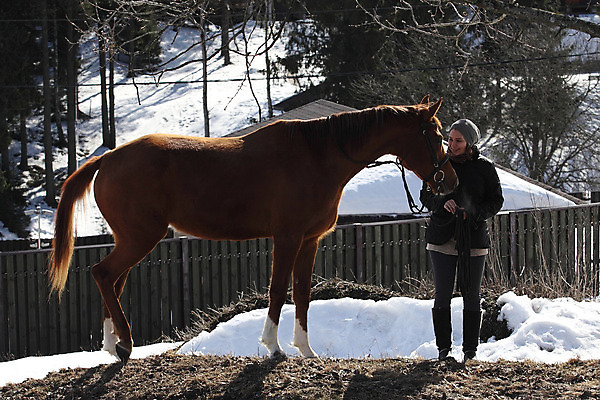 포토 JPG 해외이미지 나무 동물 자연 주택 한명 야외 맑음 교수 봄 우정 산책 시골 굴레 러시아인 캡모자 해외202004 해외포토 서양인 식물 모자_잡화 1 계절 날씨 휴식 사람 건물 친구 교사 생태계 파일형식 이미지허브