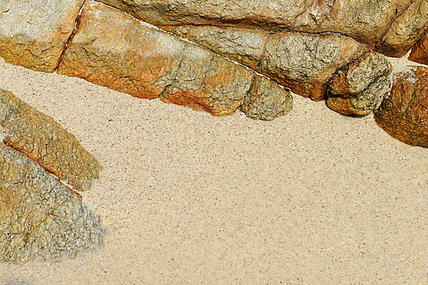 포토 JPG 해외이미지 모래 바다 오렌지 자연 조류 표면 휴가 풍경 사람없음 갈색 환경 회색 젖음 껍질 바위 원형 그룹 매끈함 수집 묘사 질감 내추럴 엘리먼트 해외202004 해외포토 도형 동물 컬러 과일 돌_바위 감각 생태계 파일형식 이미지허브