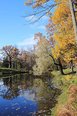 포토 JPG 해외이미지 나무 구름 호수 자연 하늘 사람없음 반사 가을 시트 해외202004 해외포토 자연요소 식물 계절 생태계 파일형식 이미지허브