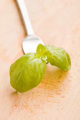 포토 JPG 해외이미지 음식 포크 채소 재료 요리 사람없음 양념 허브 향신료 바질 해외202004 해외포토 식물 식기 향미료 파일형식 이미지허브