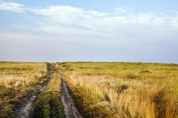 포토 JPG 해외이미지 식물 구름 계절 도로 길 백그라운드 농업 자연 하늘 날씨 풍경 사람없음 야외 가로 파란색 농작물 햇빛 농장 노란색 환경 침묵 자유 수확 시골 황금 땅 밀 장면 폭풍 수평선 해외202004 해외포토 자연요소 산업 컬러 컨셉 교통시설 곡류 태양 소리 생태계 파일형식 이미지허브
