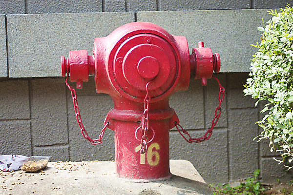 포토 JPG 해외이미지 산업 도로 불 거리 안전 사람없음 야외 빨간색 초록색 물 금속 봄 장비 흰색 긴급 도시 구출 플러그 떨어짐 보호 위험 소방관 오브젝트 사인 예방 보안 호스 소화기 일반 소화전 고립 압력 철강 해외202004 해외포토 자연요소 계절 길 컬러 컨셉 교통시설 재질 도움 안전장비 구조원 소방 파일형식 이미지허브