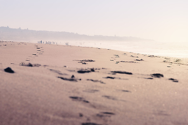 포토 JPG 해외이미지 모래 바다 백그라운드 자연 아침 사람 풍경 해변 사람없음 물 빛 새벽 산책 안개 해외202004 해외포토 주간 자연요소 날씨 휴식 생태계 파일형식 이미지허브