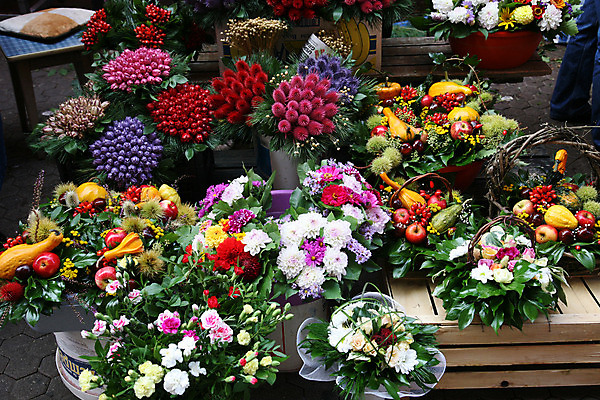 포토 JPG 해외이미지 모양 식물 디자인 공원 꽃잎 꽃 분홍색 꽃다발 결혼 꽃무늬 자연 휴식 발렌타인데이 선물 사랑 사람없음 장식 빨간색 여름 장미 우주 정원 보라색 스파 봄 벚꽃 하트 신선 생일 개화 시장 다발 향수 데이지 향기 냄새 크로아티아 내추럴 멀티 엘리먼트 자그레브 해외202004 해외포토 계절 공공시설 기념일 감정 유럽 컬러 컨셉 무늬 데이이벤트 이벤트 화장품 생태계 파일형식 이미지허브