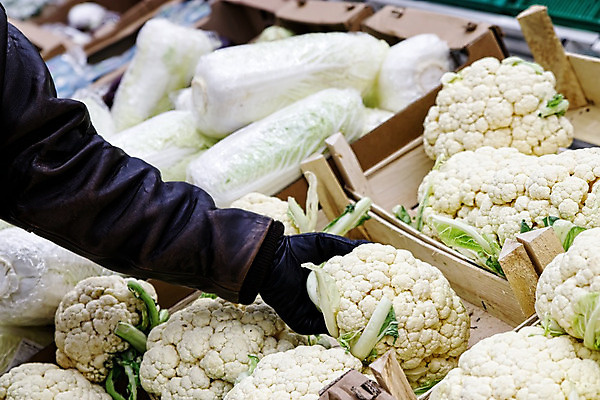 포토 JPG 해외이미지 식물 잡화 음식 백그라운드 잎 농업 다이어트 채소 재료 자연 건강 서기 사람없음 초록색 쌓기 상점 봄 샐러드 흰색 신선 그룹 시장 맛 수집 먹기 유기농 질감 양배추 날것 내추럴 매각 밭일 숙성 채식주의자 비건 해외202004 해외포토 웰빙 계절 산업 컬러 컨셉 모션 생태계 채식 파일형식 이미지허브